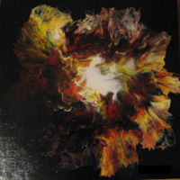 Peinture à l'acrylique sur toile de Nicolas Epinoux: fleur sombre 